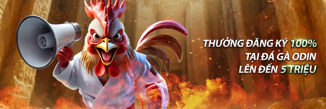 Người chơi chiến thắng tại 98win5 login